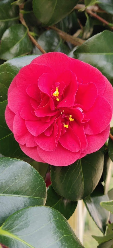 King George V Playing Field - Foto 9