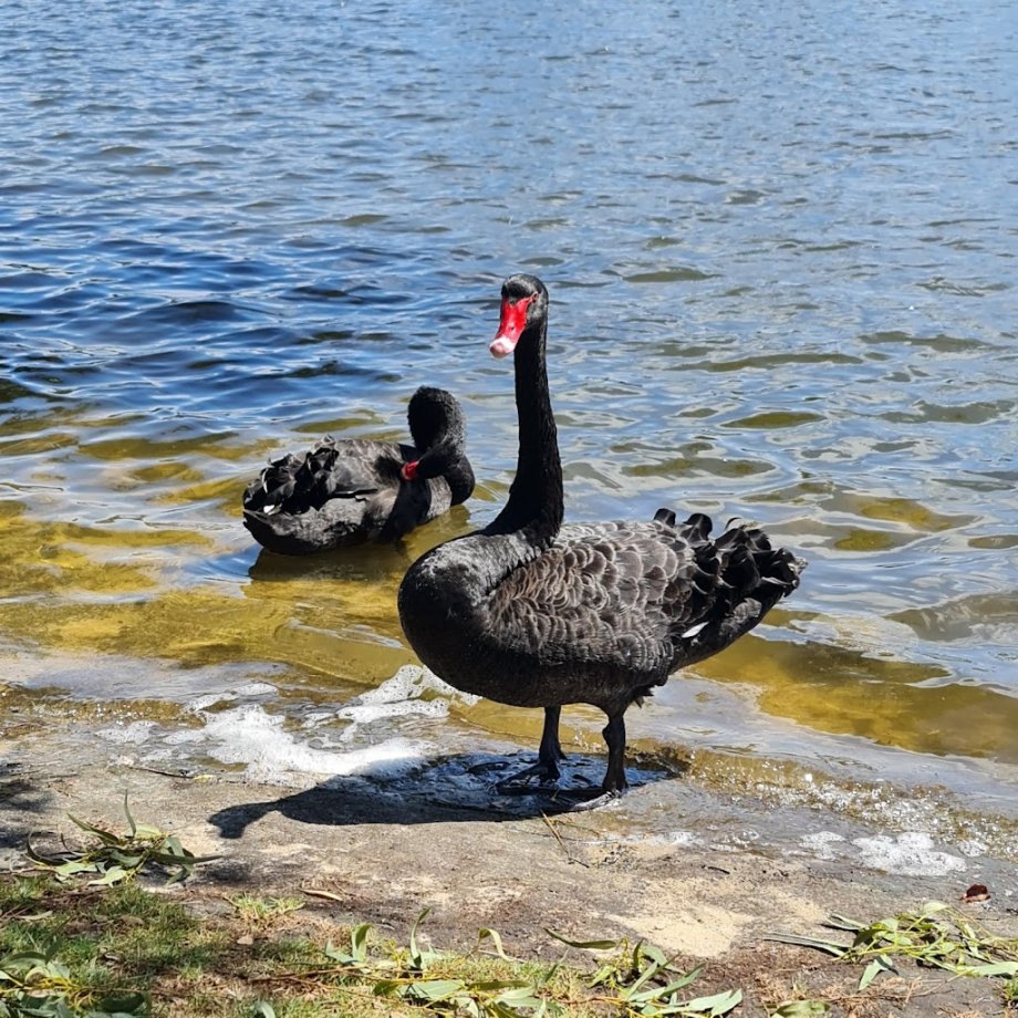 Lo Quay River Cafe - Foto 7