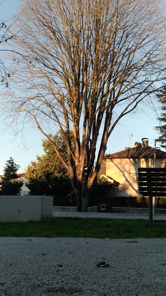 Belém Garden - Foto 1