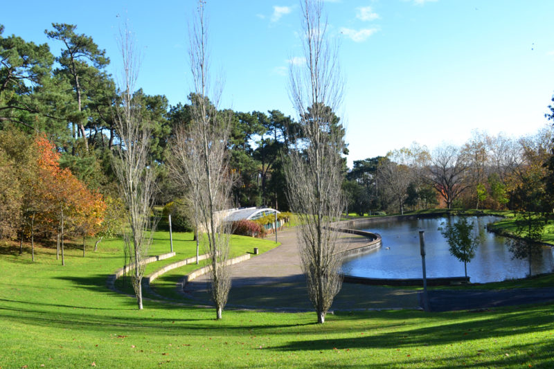 Parque Urbano da Pasteleira 2