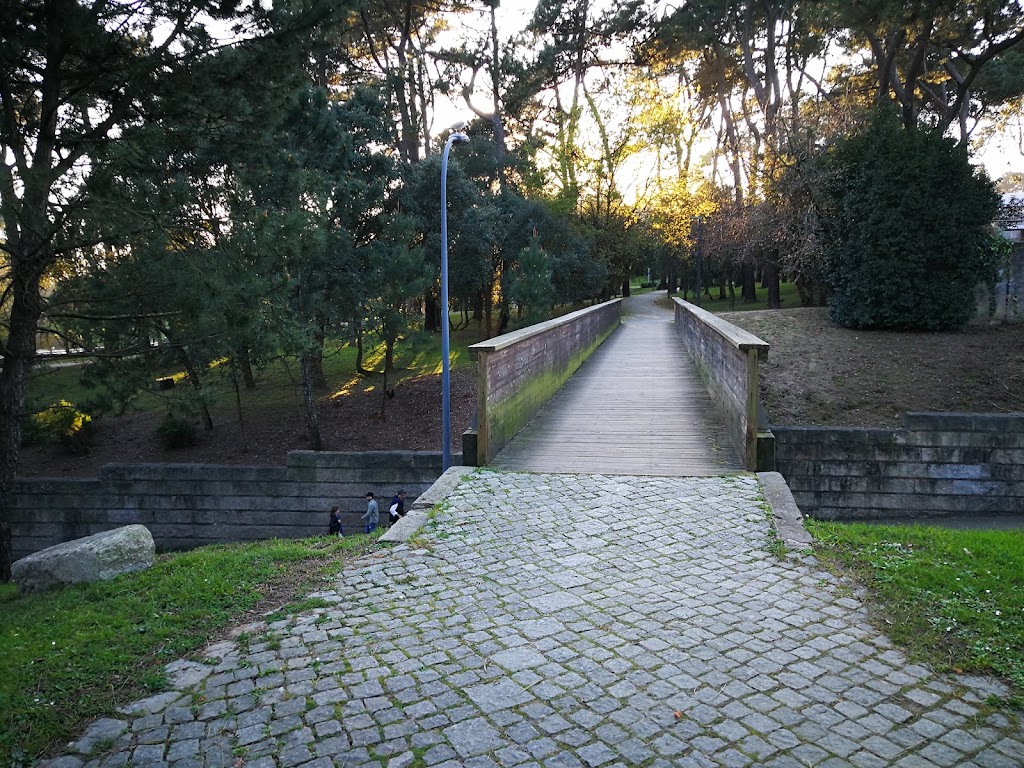 Parque Urbano da Pasteleira - Foto 1