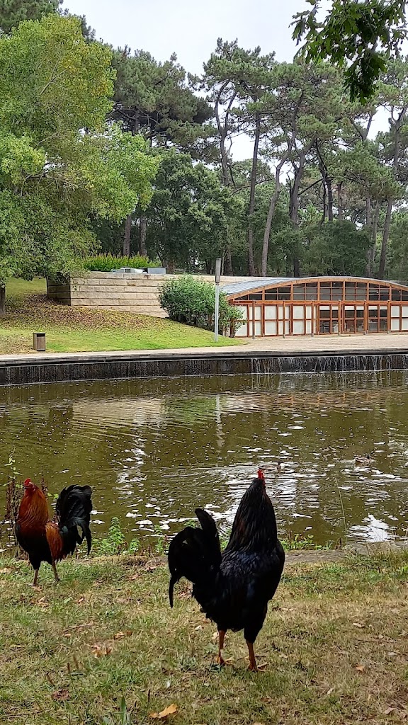 Parque Urbano da Pasteleira 8