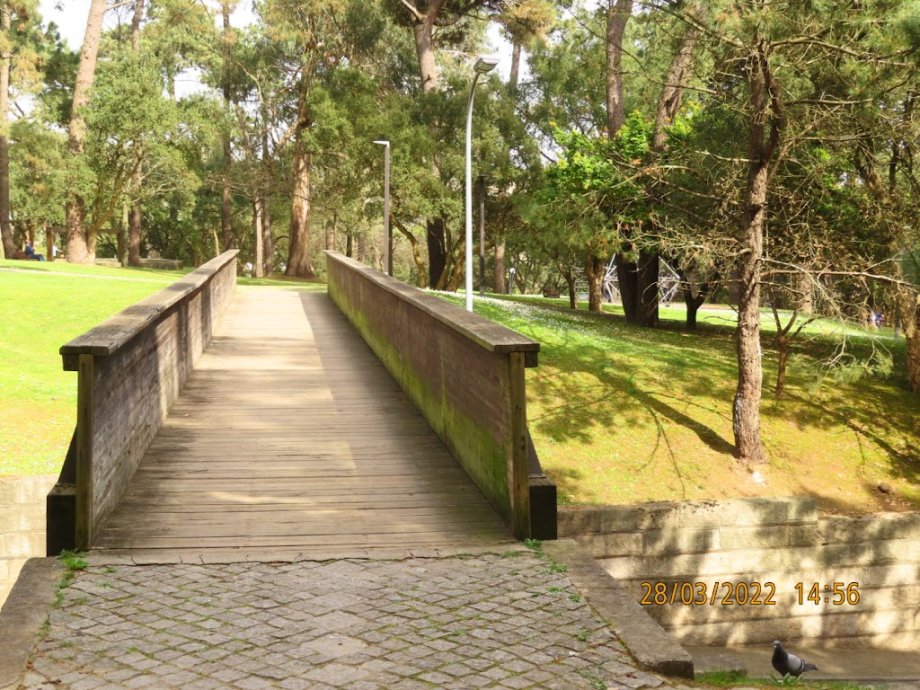 Parque Urbano da Pasteleira - Foto 10