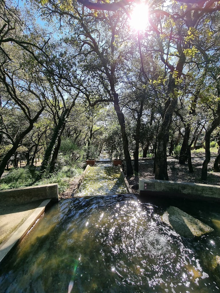 Quinta do Covelo - Foto 6