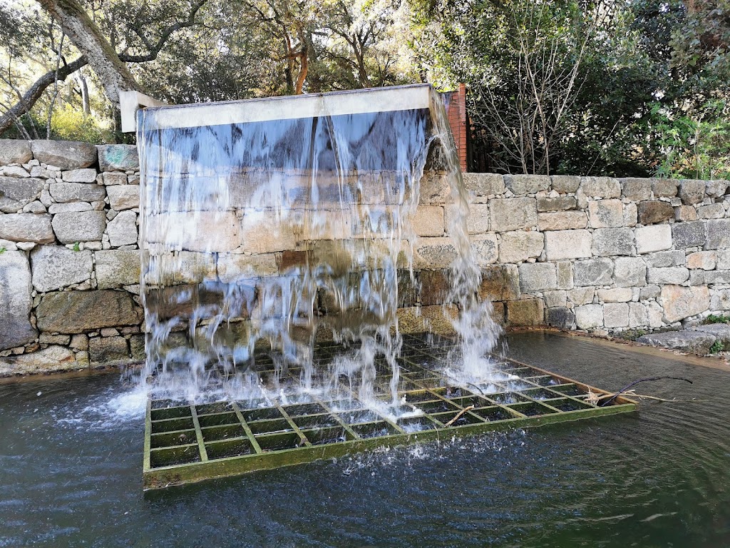 Quinta do Covelo - Foto 1