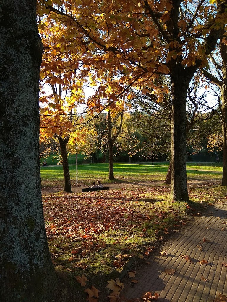 Parque Avenida Burgo das Nacións - Foto 4