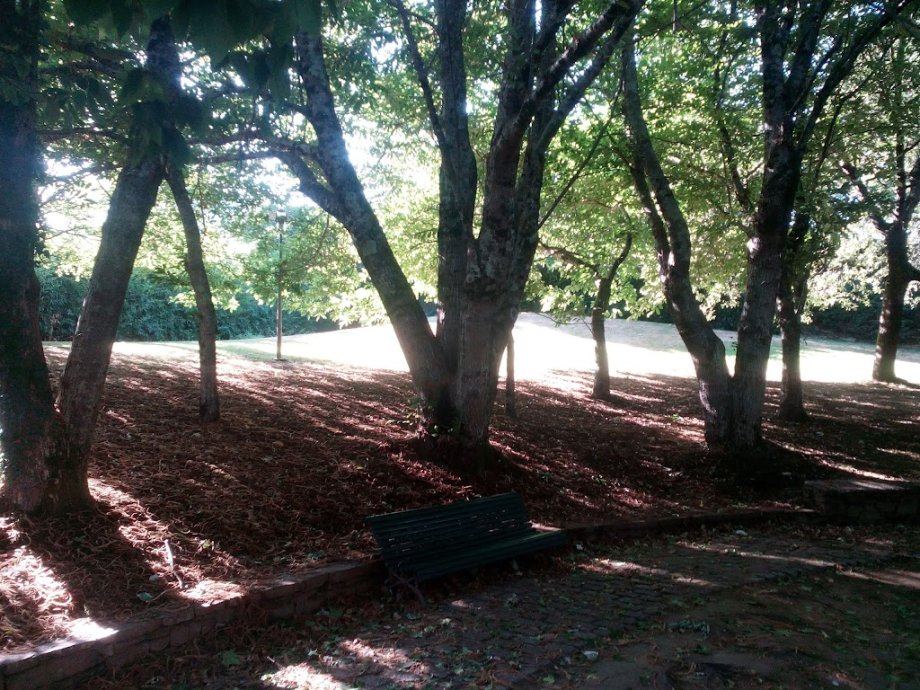 Parque Avenida Burgo das Nacións - Foto 7