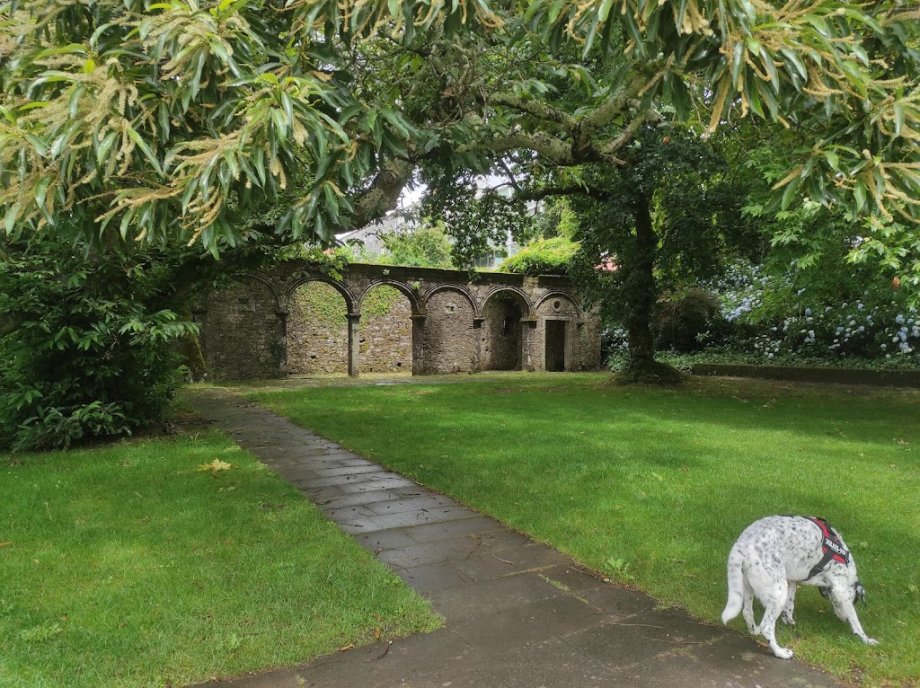 Parque de Bonaval - Foto 5