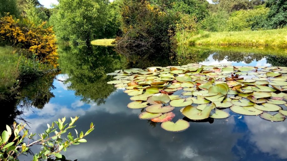 Parque Granxa do Xesto - Foto 5