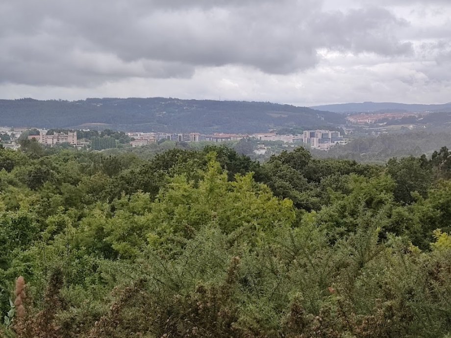 Parque Granxa do Xesto - Foto 6