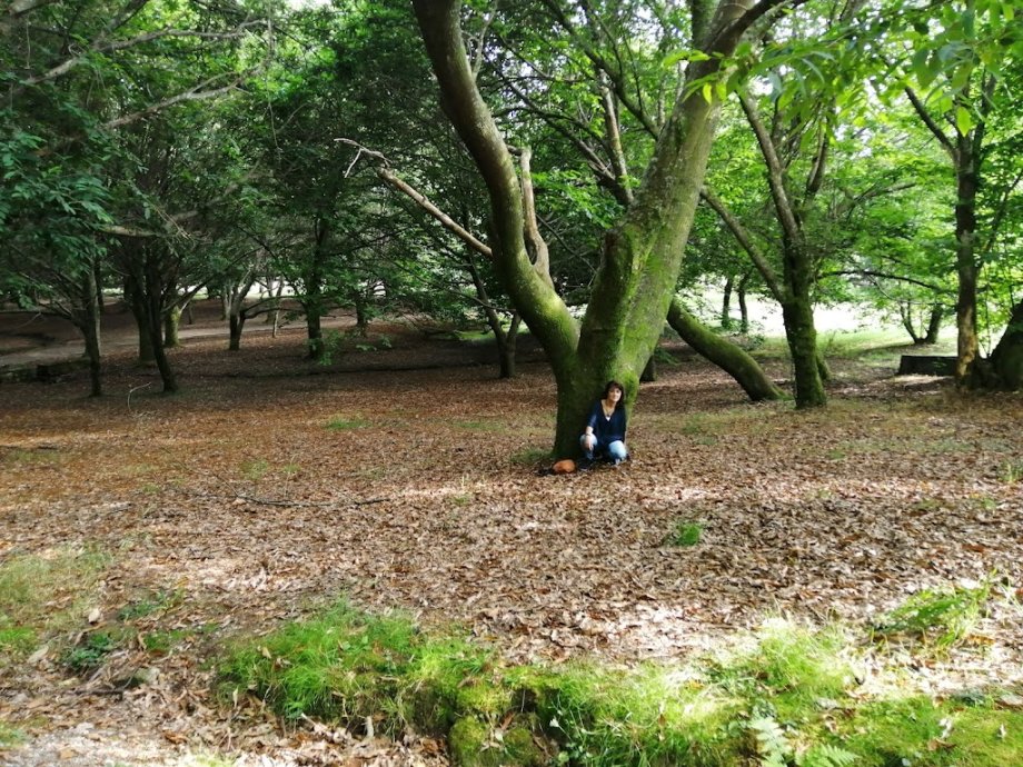 Parque Granxa do Xesto - Foto 7