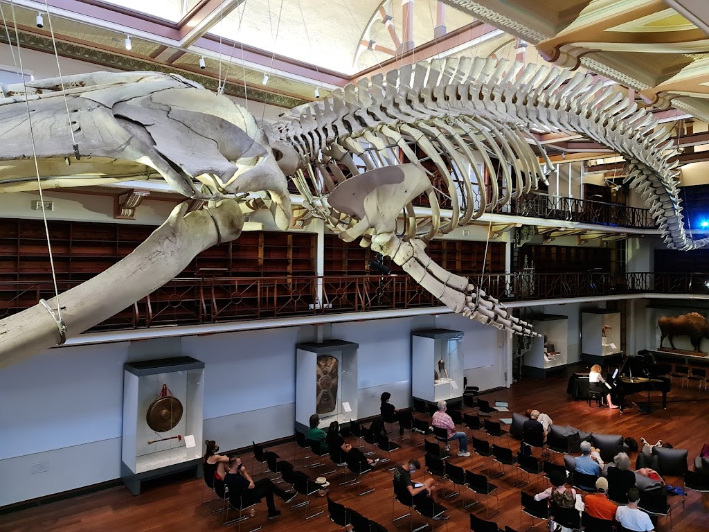 WA Museum Boola Bardip - Foto 1