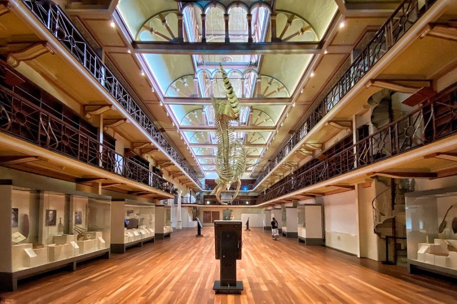 WA Museum Boola Bardip - Foto 4