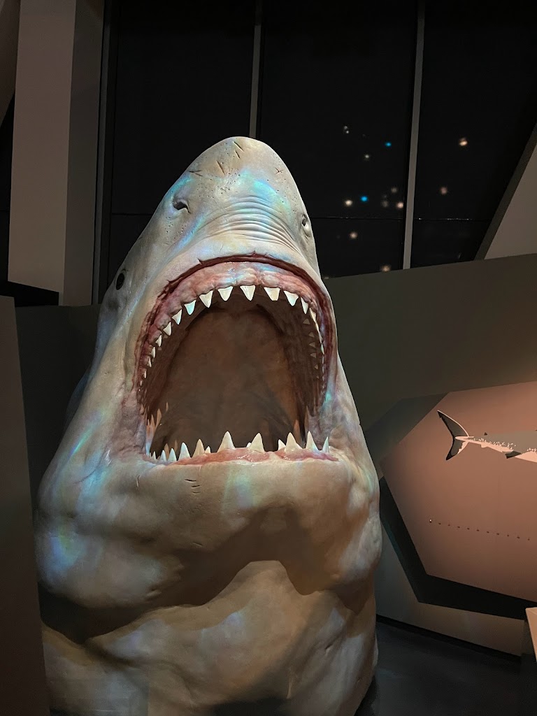 WA Museum Boola Bardip - Foto 1