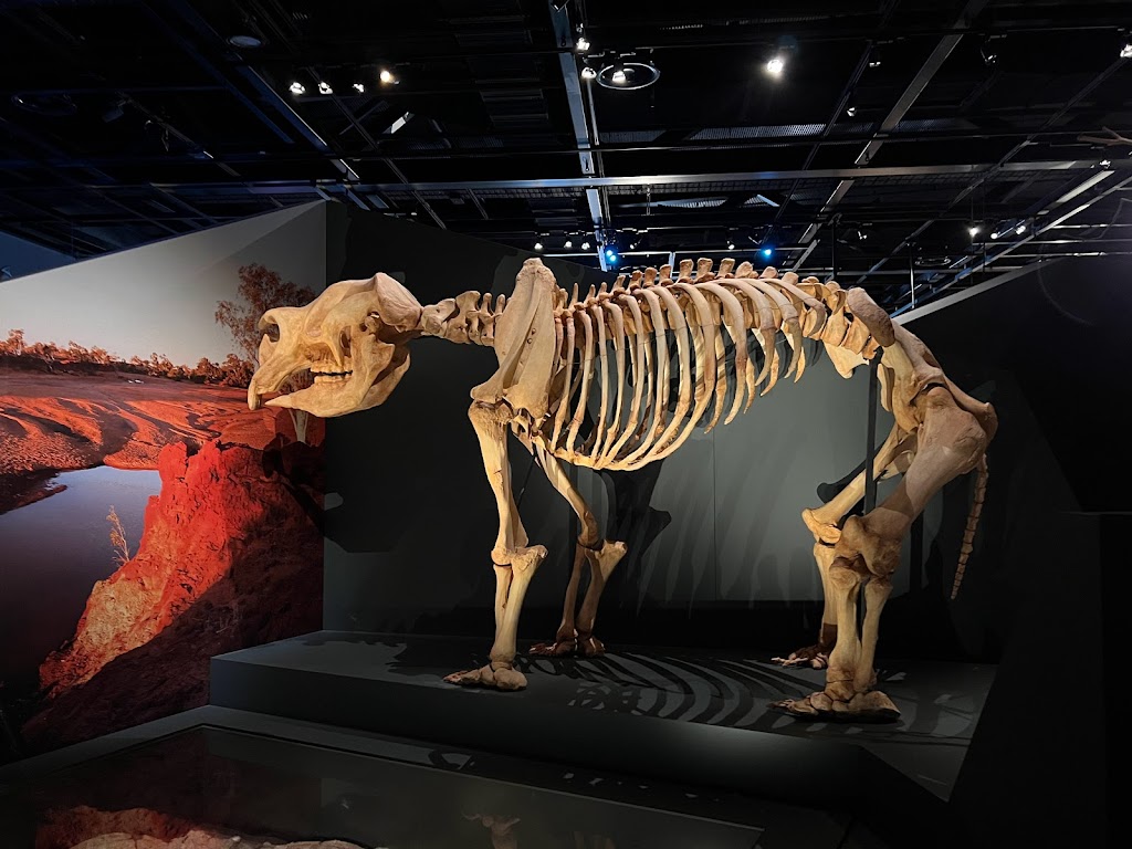 WA Museum Boola Bardip - Foto 1