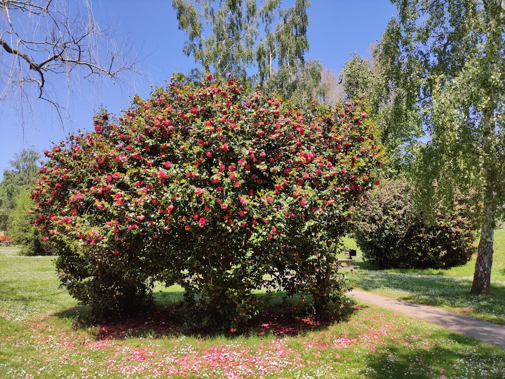 Área Recreativa El Noveledo - Foto 1