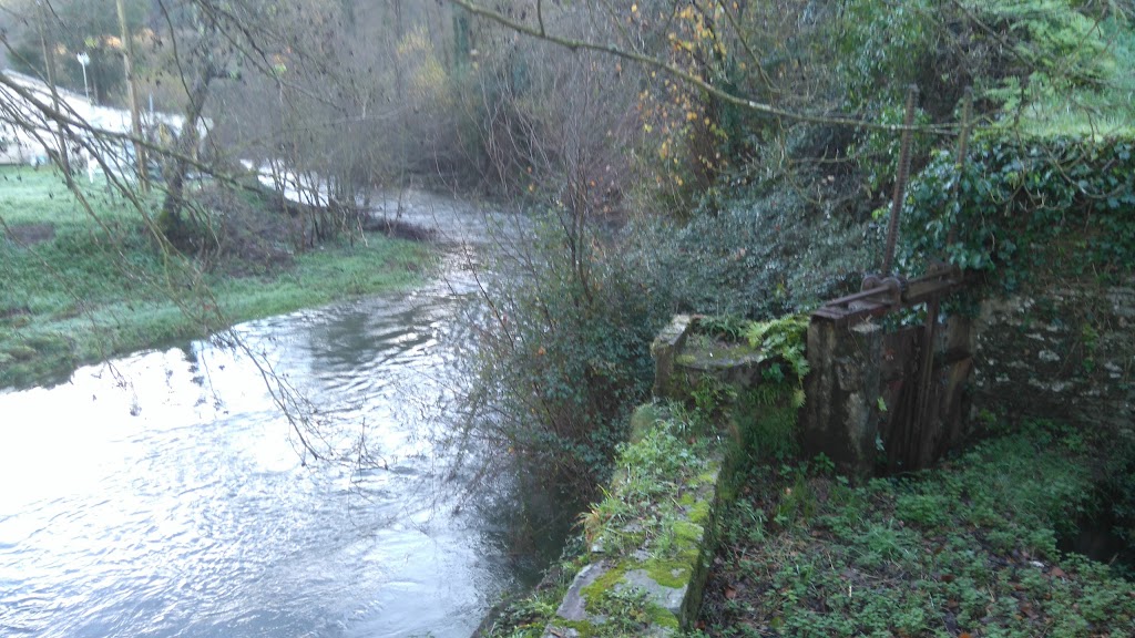 Área Recreativa El Noveledo 5