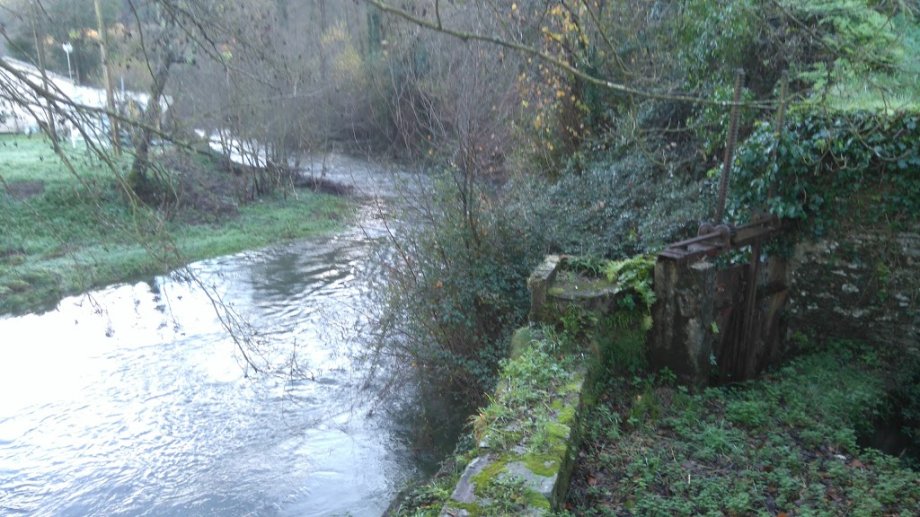 Área Recreativa El Noveledo - Foto 5