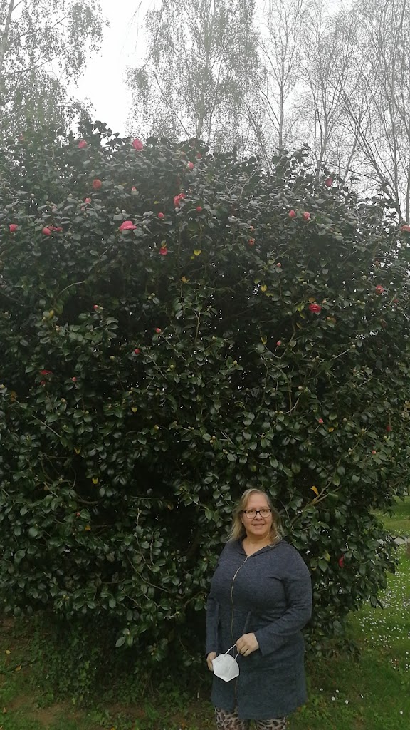 Área Recreativa El Noveledo - Foto 1