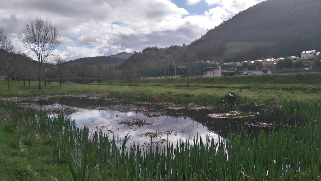 Área Recreativa El Noveledo 10