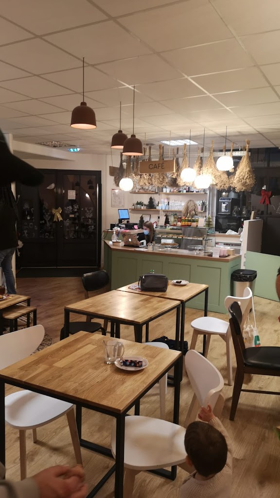 Les Polinsons - Foto 1