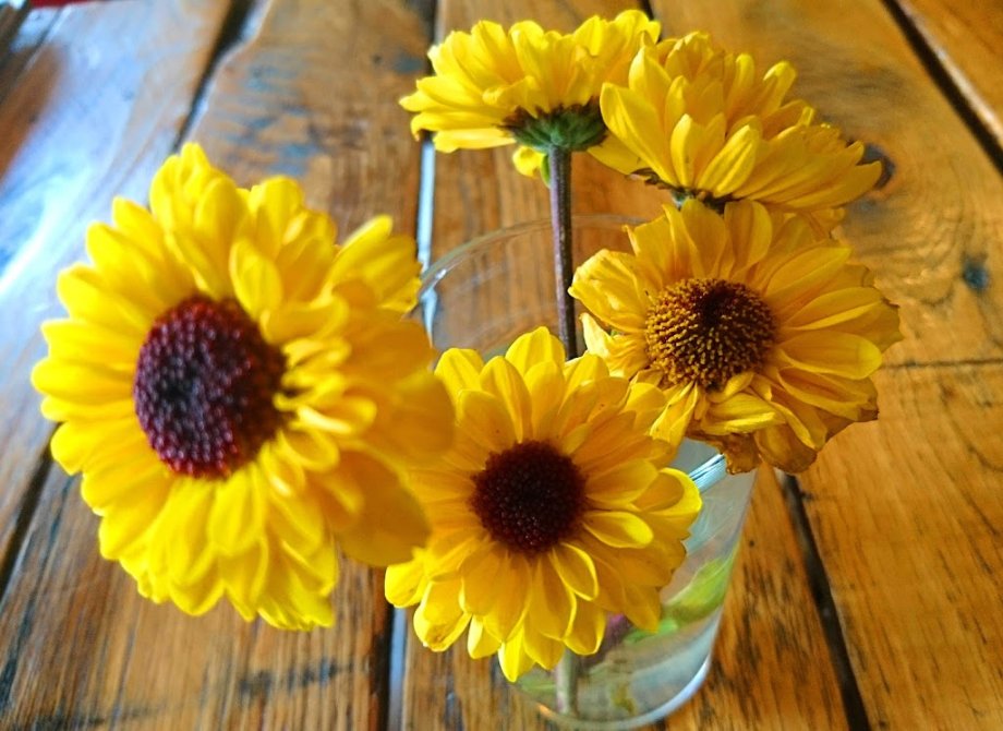 Debarbas Bebedero Gourmet Nueva York - Foto 10