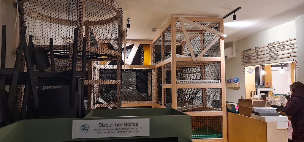 Cheeky Chops Play Cafe 8