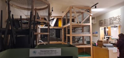 Cheeky Chops Play Cafe