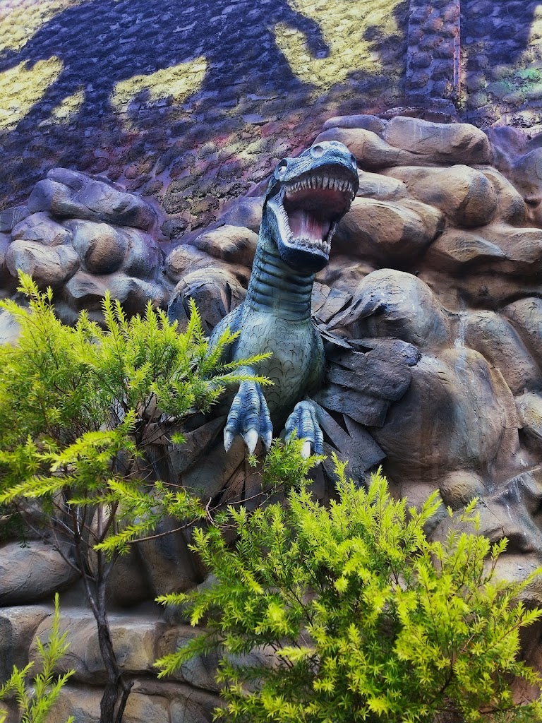 Aqua Jungle Water Park & Resort - Foto 1