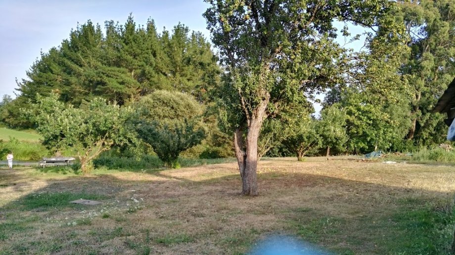 Beira Miño - Foto 5