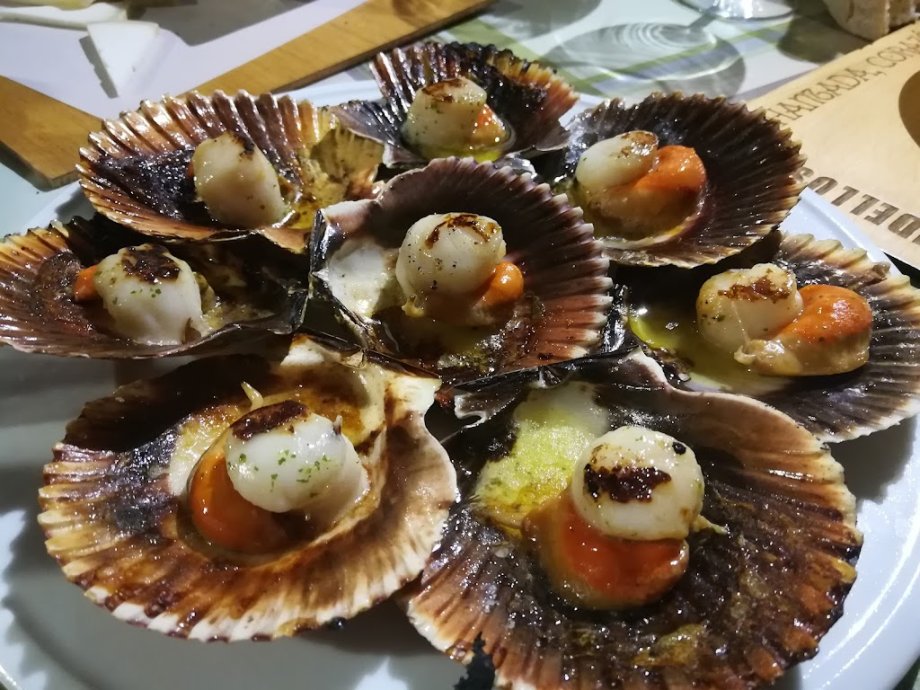 Os Pendellos - Foto 6