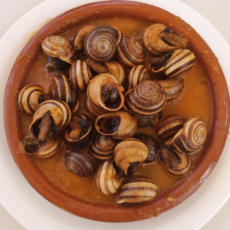 El Kiosko Jardines de Hércules - Foto 9