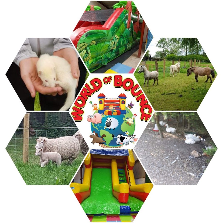 World Of Bounce And Mini Farm - Foto 2