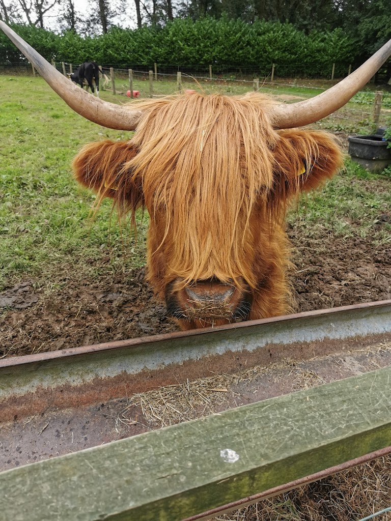 World Of Bounce And Mini Farm - Foto 1