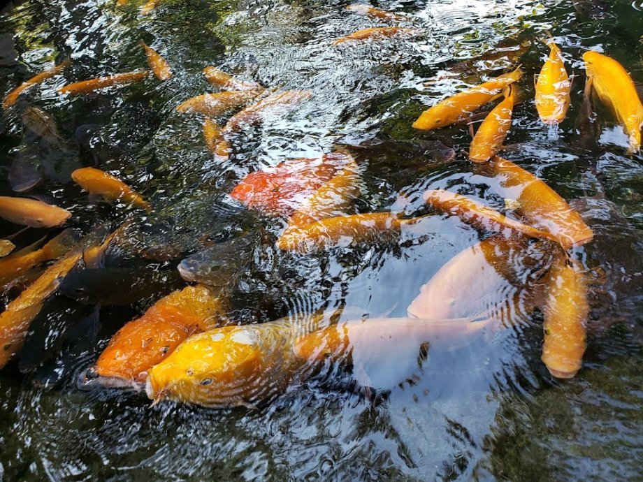 Las Estacas Parque Natural - Foto 2