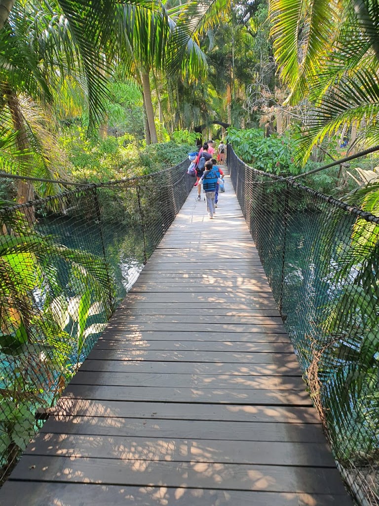 Las Estacas Parque Natural - Foto 3