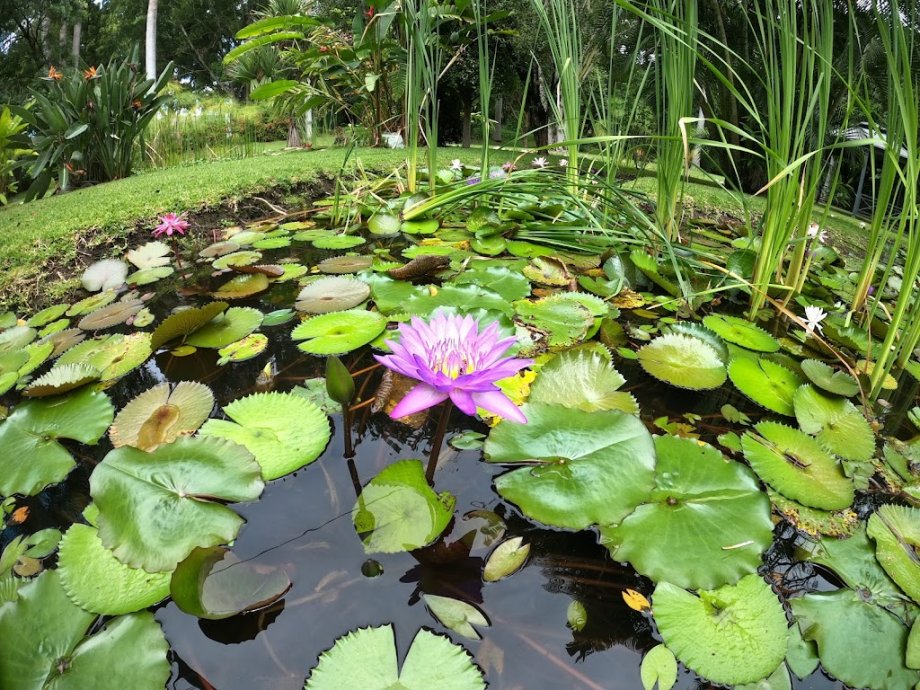 Las Estacas Parque Natural - Foto 5