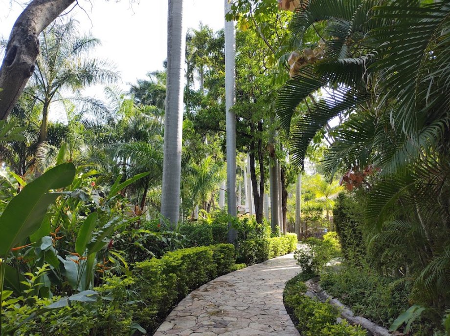 Las Estacas Parque Natural - Foto 9