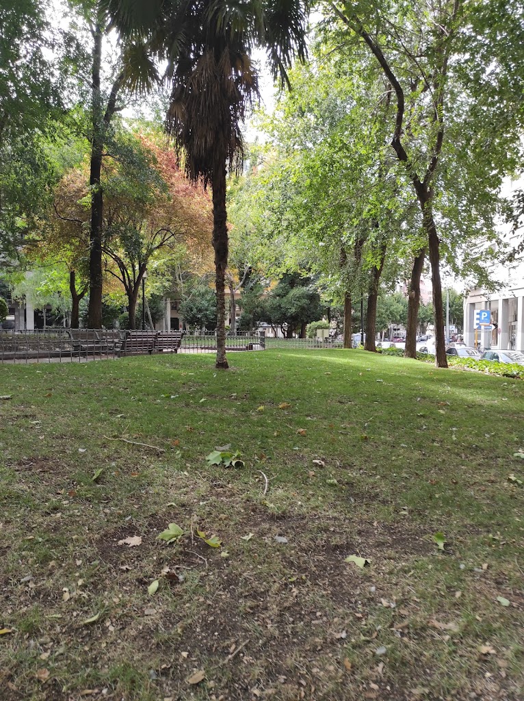Parque Plaza la Catedral. - Foto 2