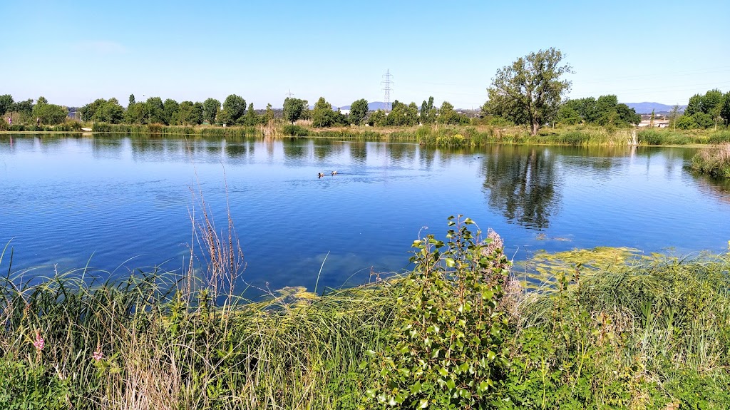 Parque del Falgar (Las Franquesas del Vallés) - Foto 1