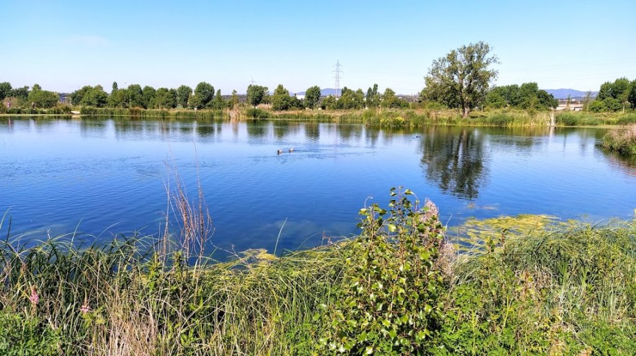 Parque del Falgar (Las Franquesas del Vallés) - Foto 3