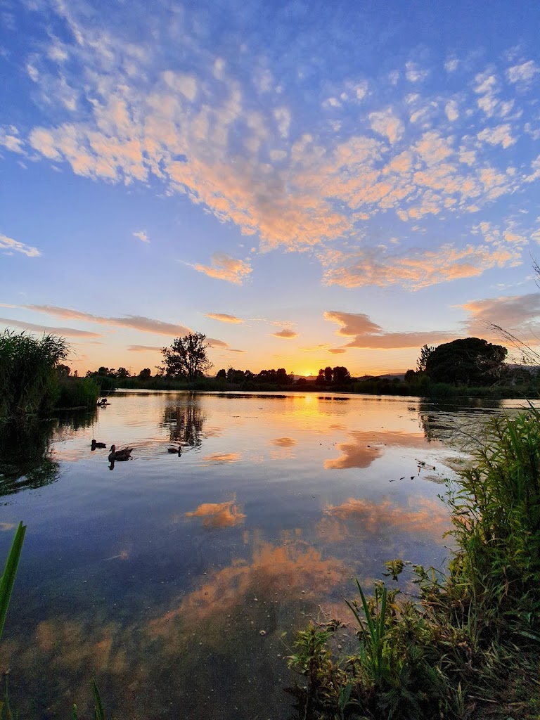 Parque del Falgar (Las Franquesas del Vallés) - Foto 4