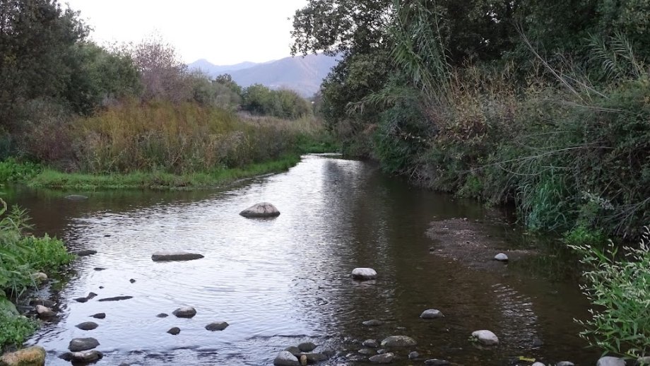 Parque del Falgar (Las Franquesas del Vallés) - Foto 6