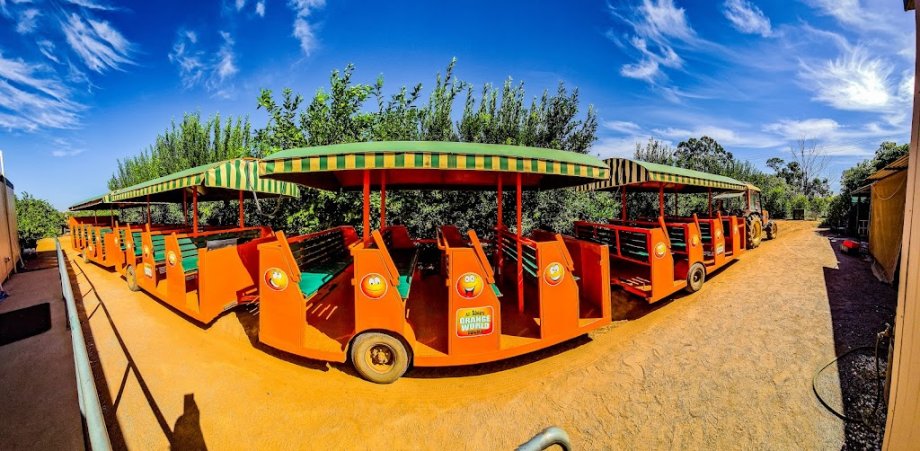 Orange World - Foto 3