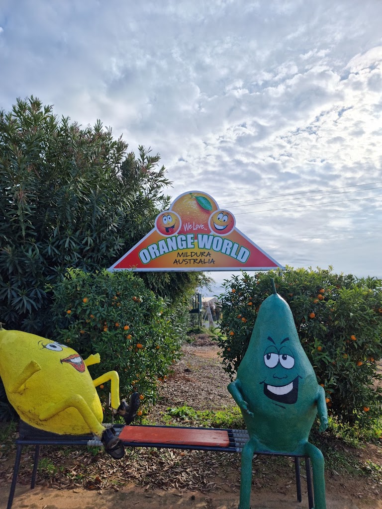 Orange World - Foto 1