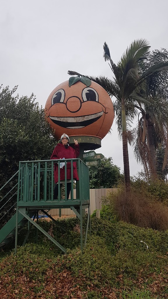 Orange World - Foto 1