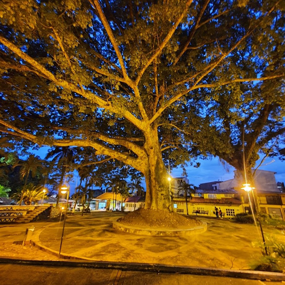 Santa Clara restaurante bar - Foto 4