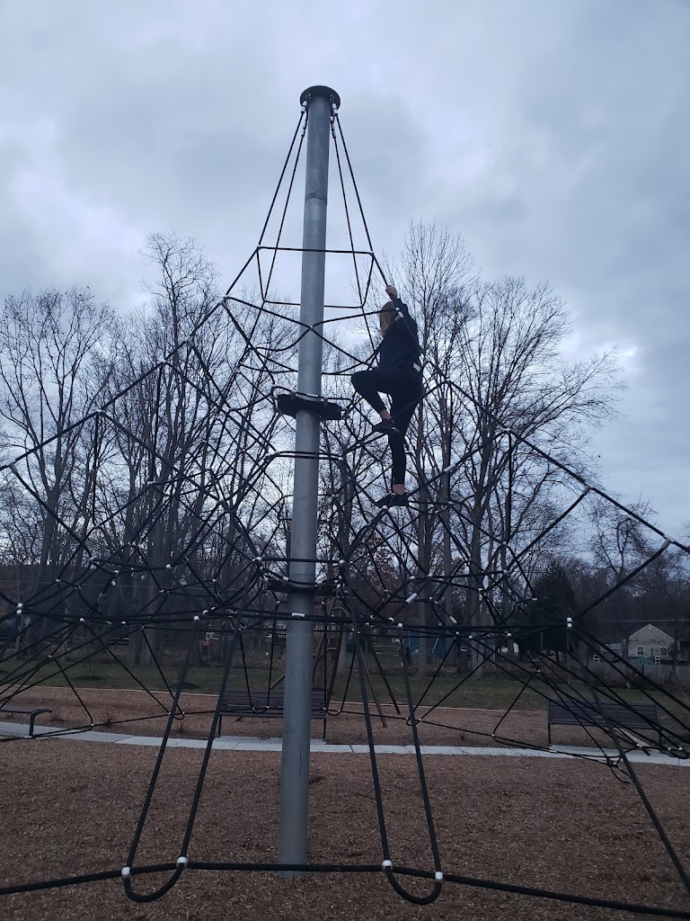 Arthur Lewis Park - Foto 10