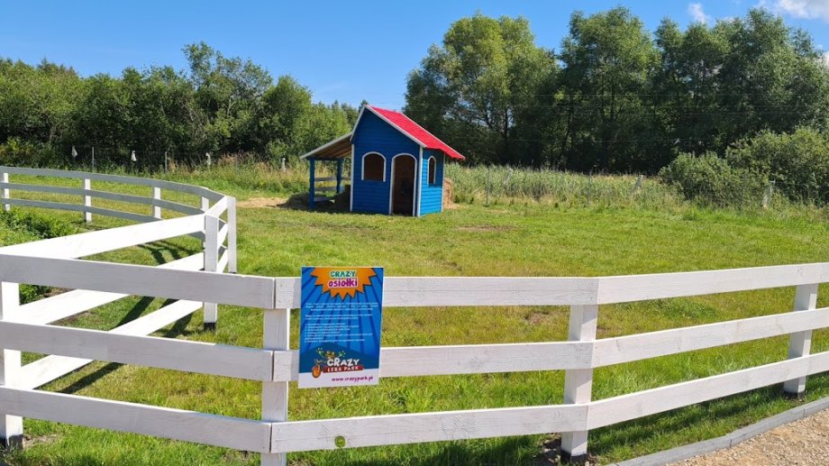 Crazy Park - Foto 10