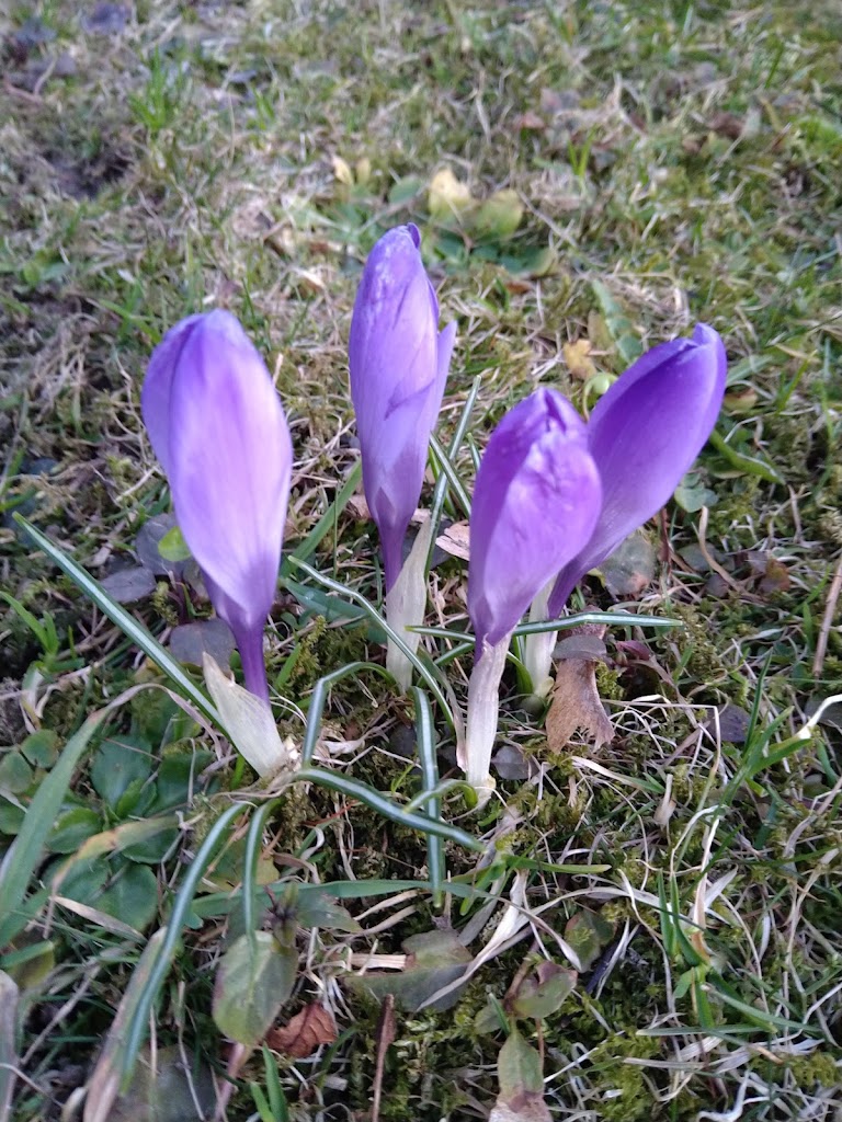 Cucumaz Spielplatz - Foto 7